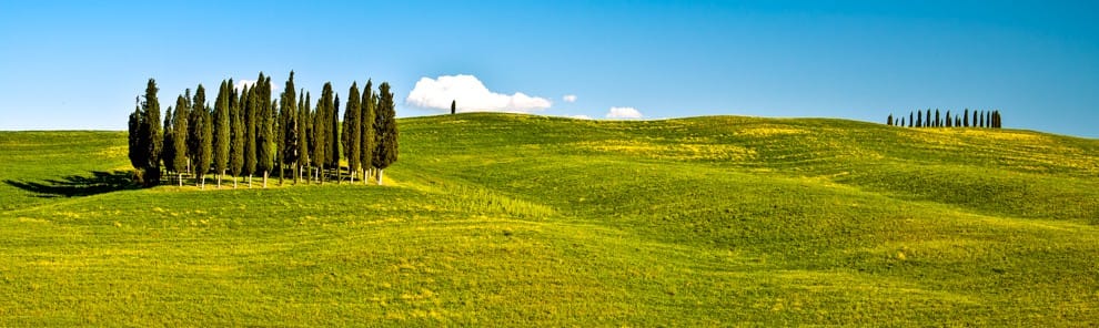 Tuscany 2012-04-February2012-04-FebruaryT110-8387-2-2