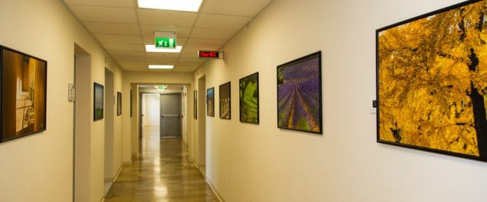 Dr. Beniamino Brancato, Florence, Italy