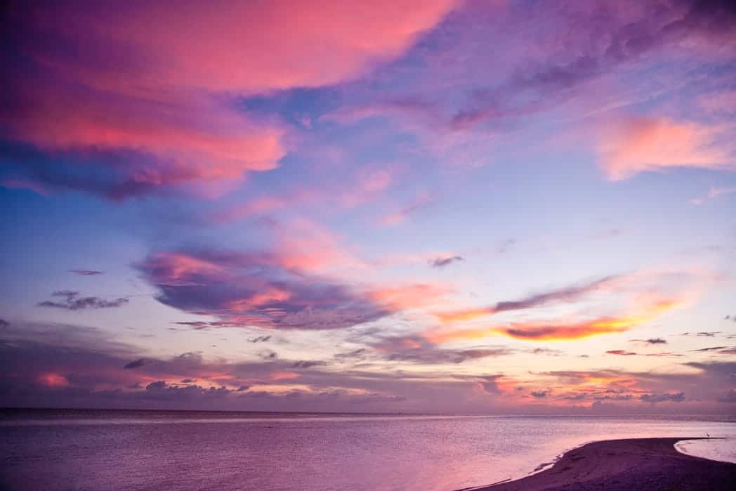 Nature Photography Hospital Artwork