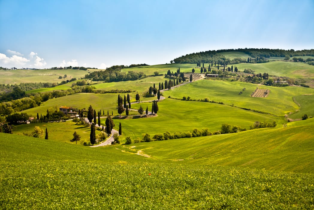 Tuscany by Elaine – The Foundation for Photo/Art in Hospitals